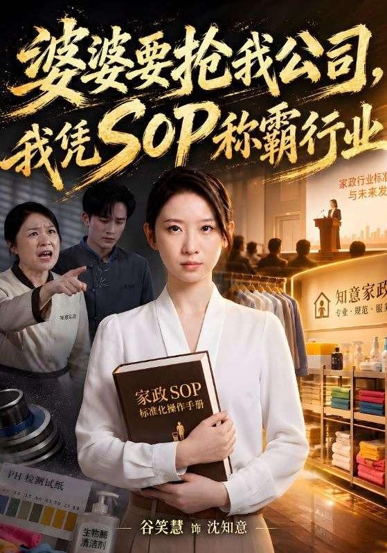 婆婆要抢我公司,我凭SOP称霸行业