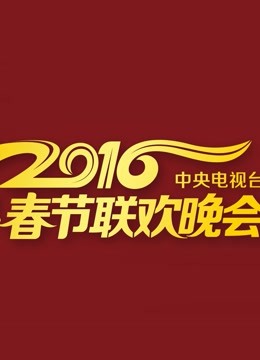 2016央视元宵